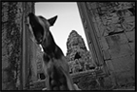 angkor.jpg